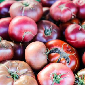 Cherokee Purple Tomato