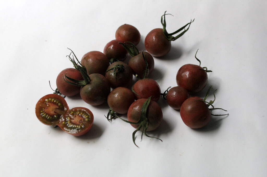 Chocolate Cherry Tomato