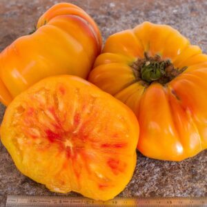 Virginia Sweets Tomato