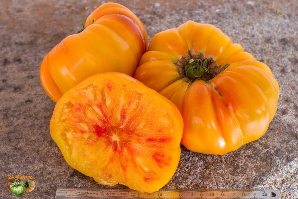 Virginia Sweets Tomato