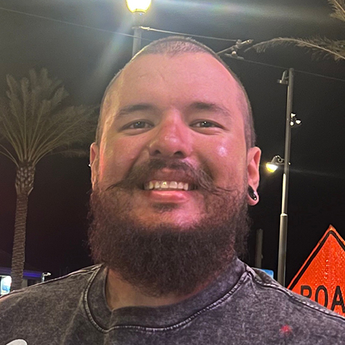 Andres Lauson, Programmer