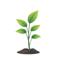 plant-bg plant-bg